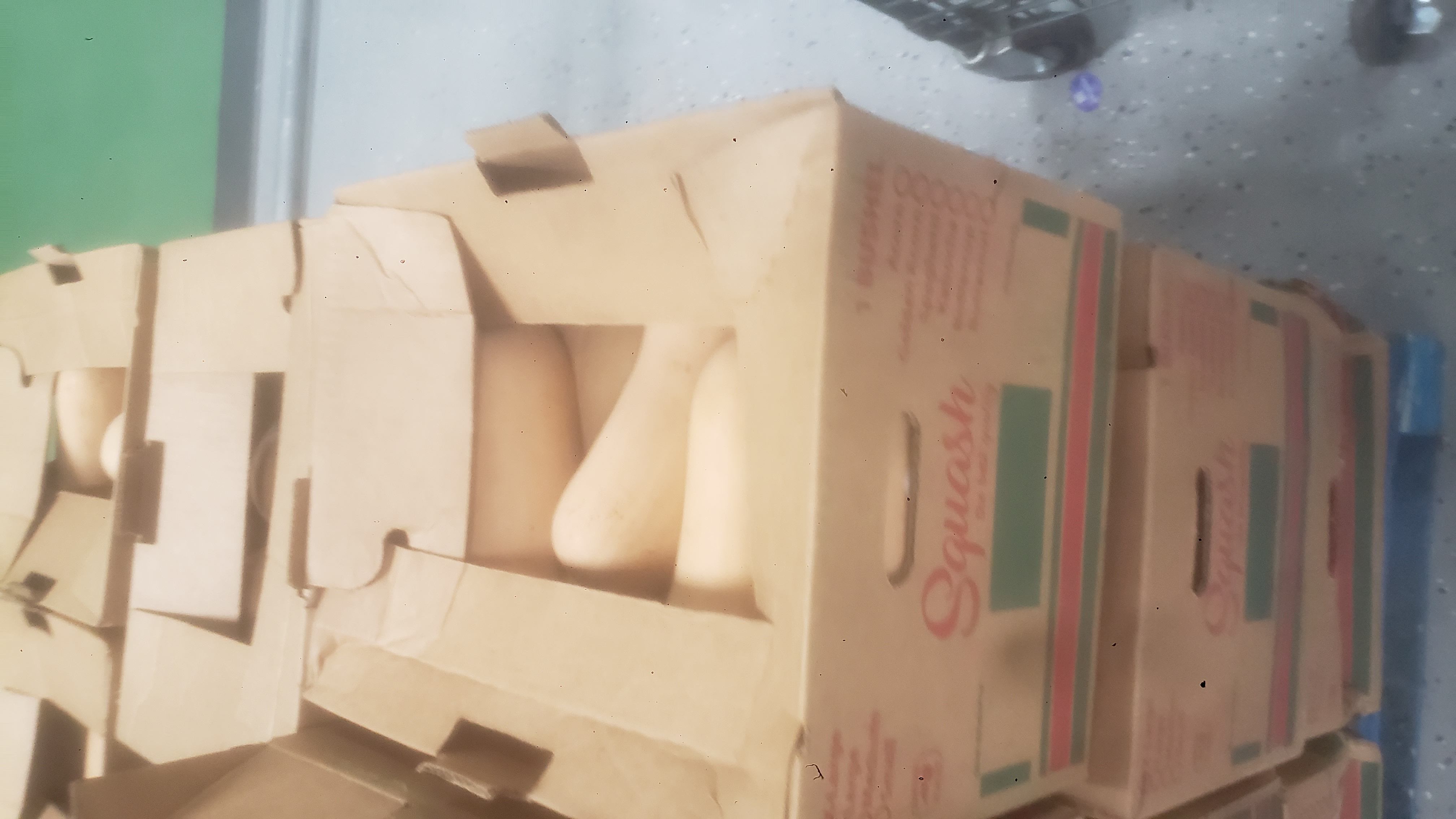 Cardboard box full of butternut squash.